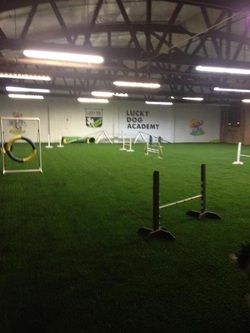 Professional sport turf agility ring